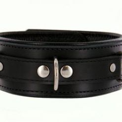 Strict Leather Premium Locking Collar