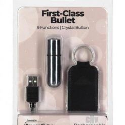 Powerbullet First Class Mini Bullet Silv