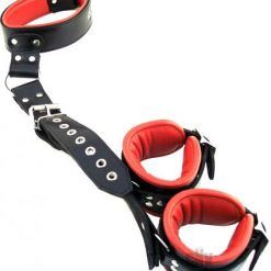 Rouge Leather Neck To Hand Restraint Black Red