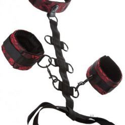 Scandal Collar Body Restraint