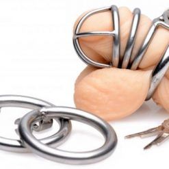 The Pen Deluxe Stainless Steel Locking Chastity Cage